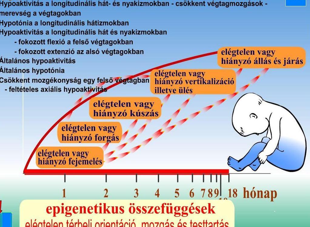 A kóros mozgásfejlődés kezelési