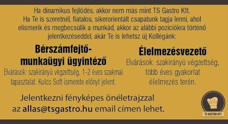 pontos munkavégzés megbízhatóság, önállóság Előnyök: munkatapasztalat szerkezetlakatosokat Feladatok: fémszerkezetgyártás rajzról önállóan dolgozni,