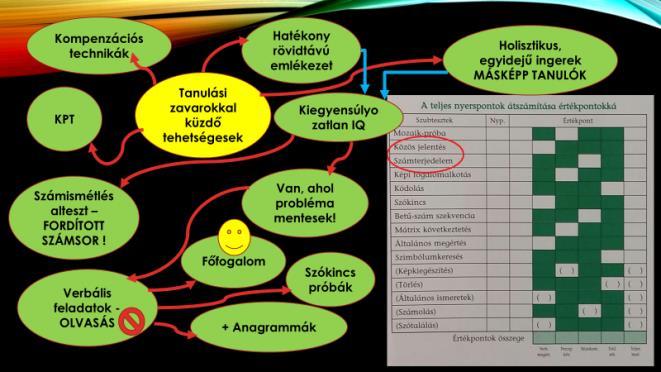 Célja, hogy a tehetség megjelenésére alkalmas környezetet teremtsen, és a megjelenő tehetségeket azonosítva, azoknak további fejlődési lehetőséget biztosítson.