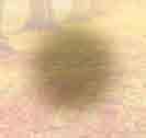 somodent.hu 1 m - 10.000 Ft = 10.000 Ft 5 m - 10.000 Ft = 50.000 Ft 6 m - 10.000 Ft = 60.000 Ft 7 m - 10.000 Ft = 70.