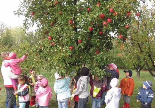 51 Almaszüret gyakorlatban alkalmaztuk.) Elénekeltük és eljátszottuk a Kecske ment a kiskertbe címû dalt, majd mi is kecskenyelven beszélgettünk, énekeltünk.
