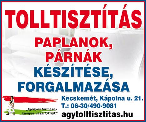 A tevékenységvédelem nem csak a konkurenciamentességet, hanem a széles kapcsolati skálát is garantálja, hiszen a 34 fő, 34