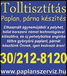 HALLÓKÉSZÜLÉK SZERVIZ Haókészüék javítása Szakszerű karbantartás Tanácsadás Hozza be