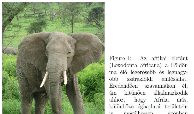 Példa: Ábra mellé magyarázó szöveg \documentclass[letter,12pt]{article} \usepackage[utf8]{inputenc} \usepackage[magyar,english]{babel} \usepackage[pdftex]{graphicx} \usepackage{sidecap}