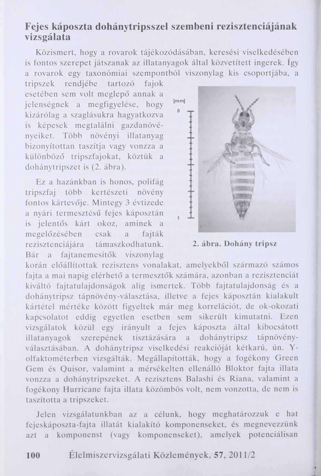 Fejes káposzta dohánytripsszel szembeni rezisztenciájának vizsgálata Közismert, hogy a rovarok tájékozódásában, keresési viselkedésében is fontos szerepet játszanak az illatanyagok által közvetített
