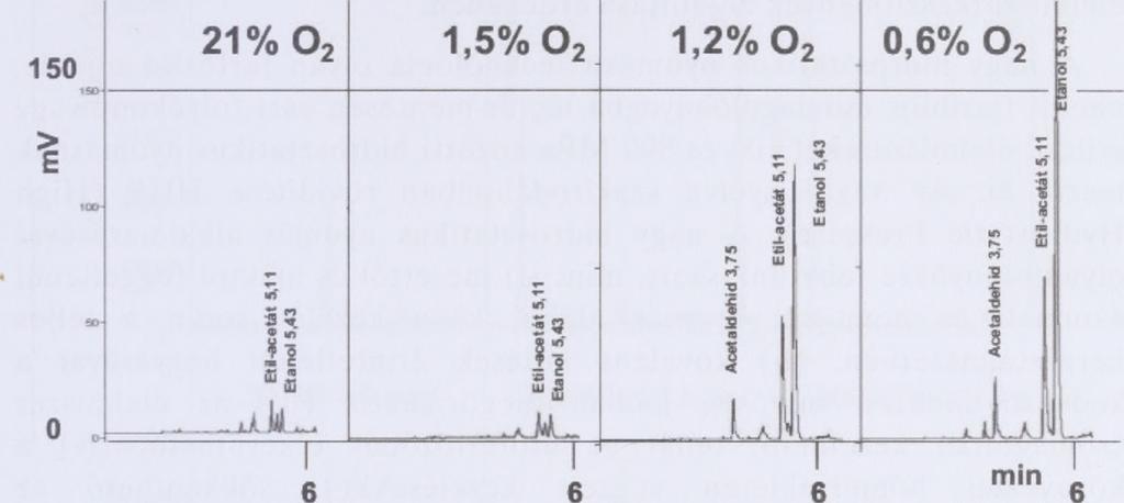Különböző oxigénben tartott Granny Smith almák gőzteréből mért illékony komponensek [PDMS-DVB pink SPME szál, 65 /лт filmvastagság, head-space mintavétel (25 perc, 20 C), deszorpció 220QC 1 perc,