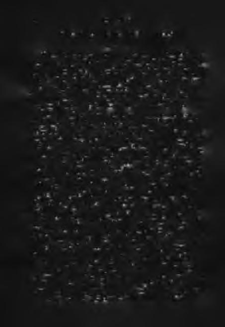 30 E R D E I FERENC SOME QUESTIONS OF DENSITY OF POPULATION AND TRENDS IN AGRARIAN DENSITY S u m m a r y T h e p a p e r p o in ts firs t a t th e re la tio n b e tw e e n a re a a n d p o p u la tio