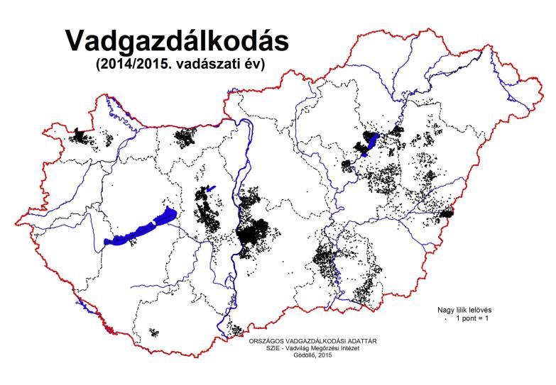 A nagy lilik az Alföld libája (de tolódik Dunántúl felé) 2014/2015-ös teríték: 10440 példány Élőhely - fészkelőhely arktikus, cserjés tundrák; vizek közelében, magas folyópartokon, tengerparti