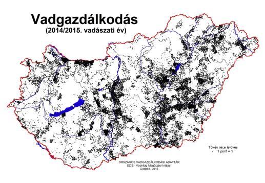 (ebből lelövés: 62741 db) vonuláskor: Alföldi vizes élőhelyeken