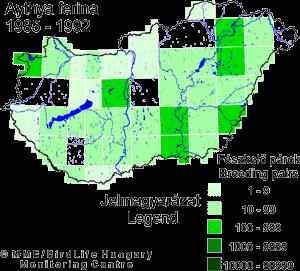 Elterjedés - állományhelyzet Botteni öböltől Franciaország középső része-ausztria-bulgária vonalig; Mo.-on gyakori költő (főleg a tiszántúli halastavakon); vonuló (febr. és nov.