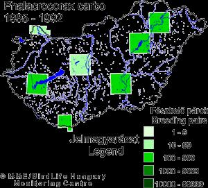 Elterjedés - állományhelyzet európai elterjedésű két törzsalakkal, Észak-Nyugati (Ph.c.