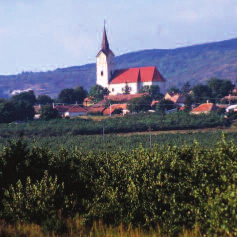 többségében hozzáadott építőanyag nélkül, a vulkáni tufába vagy löszbe (Tokaj-hegy) vájt, vágott pincék; az egyedülálló sűrűségben és változatos megjelenési formában fennmaradt pincék négy