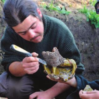 mérhető jelentőségű és értékű feltételezett bronz leletanyag (amely fokozottan veszélyeztetett); a Bodrogköz és Bodrog-magaspart ember és a
