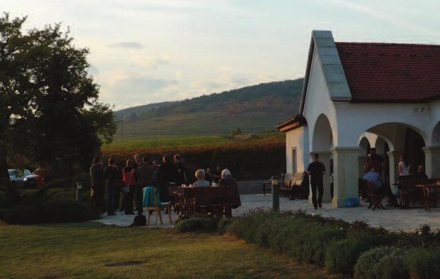 TErMéSzETi, Táji, TájHASzNáLATi értékeket BEMuTATó, HASzNoSíTó ökoturizmus Tokaj-Hegyalja kultúrtájként, kulturális kategóriában került fel a világörökségi listára, azonban természeti értékeinek