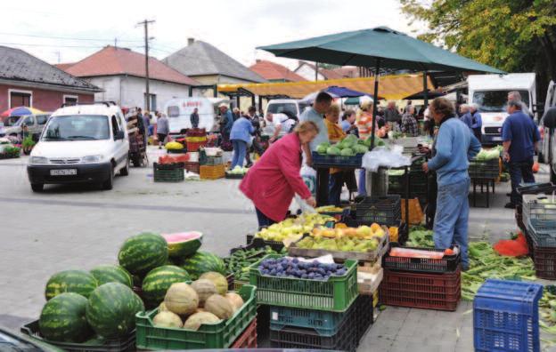 a térségi szereplők olyan turisztikai modell kialakítását szorgalmazzák, ahol a védett természeti területek, élőhelyek és a szőlőtermő területek egymással szimbiózisban élő tájelemek, tájhasználati