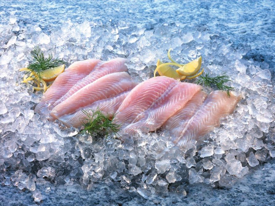 880g/800g 2999,- Ft Pangasius halfilé Édesvízi, fehérhúsú halfilé, gyorsfagyasztott.