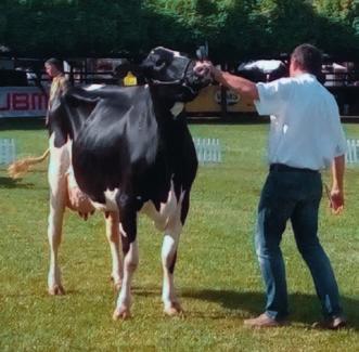 -től 9616 Sári a Biharnagybajomi Dózsa Agrár Zrt.-től szerepelt apaként.
