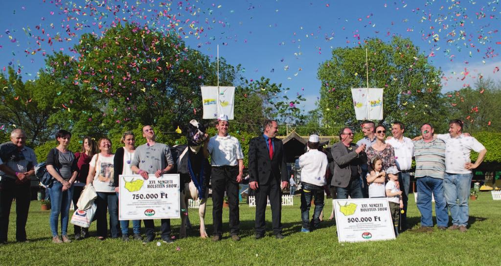 KIÁLLÍTÁS A nagydíjas lujza hátteréről A Nemzeti Holstein Show 2017. évi nagydíját a komáromi Solum Zrt. tehene, 8256 Lujza érdemelte ki a svájci bírótól. A 7.
