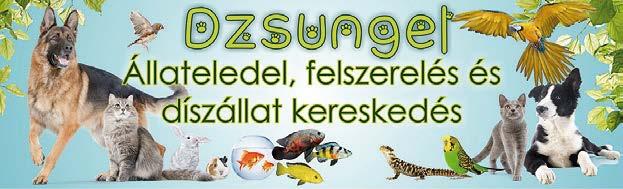 tanúsítása, munkaszerződés ETTS I Belgyógyászati magán szakrendelés szerdánként: