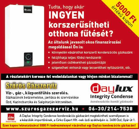 000 Ft/hó) Tel: 06-20/3164-136, 06-20/5251-618 e-mail: manrenting@gmail.