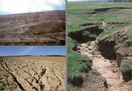 53 TALAJPUSZTULÁS Magyarországon évente 100 millió m 3 nagyságrendű talaj pusztul le.