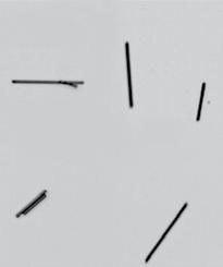 A szálak hosszát és átmérőjét egyetlen méréssel, egyidejűleg méri meg a "split-view" optika.
