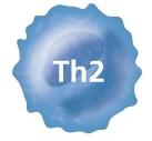 észlelhető: az előbbit a Th2, az utóbbit Th17 dominancia határozhatja meg; tisztán Th2 domináns betegség a leginkább gyermekkorban detektálható (99).
