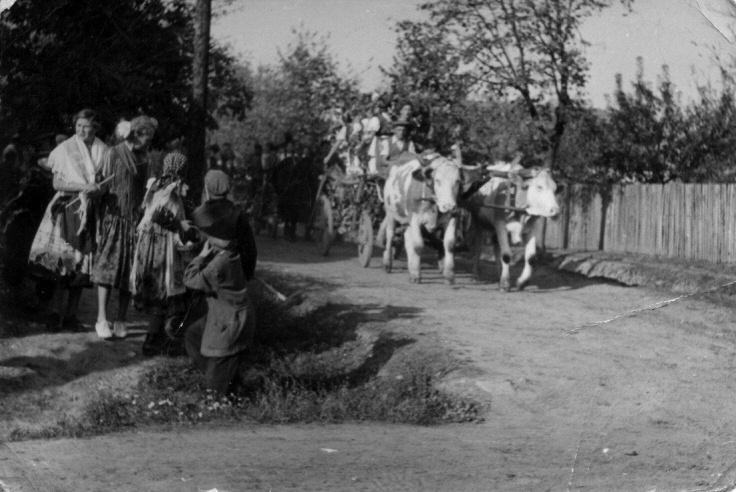 1959. szüreti felvonulás
