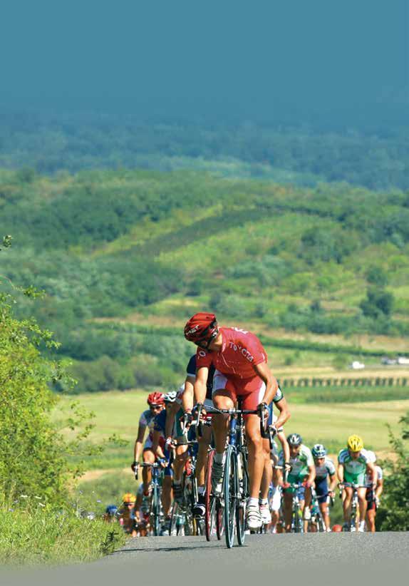 Beköszöntő. Idén is a nyár közepén indul az országra szóló kaland! Útra kel  a legnagyobb magyar kerékpárverseny, a Tour de Hongrie mezőnye! - PDF Free  Download