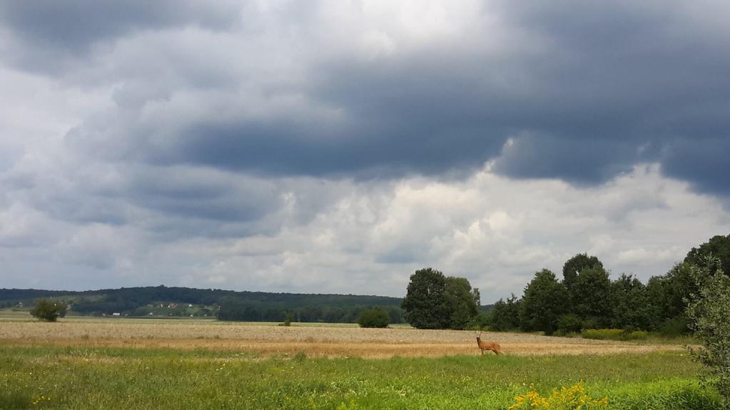 Hagyományosan Hetésnek a történelmi Zala vármegye azon hét települését nevezték ( Hetes Hetés), amelyek neve házá-ra végződik; ezek a ma is létező Bödeháza, Gáborjánháza, Göntérháza és Szijártóháza,