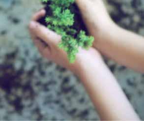 ISO14001 és az ISO9001 minősítésekkel részt veszünk az EKOKOM és RETELA