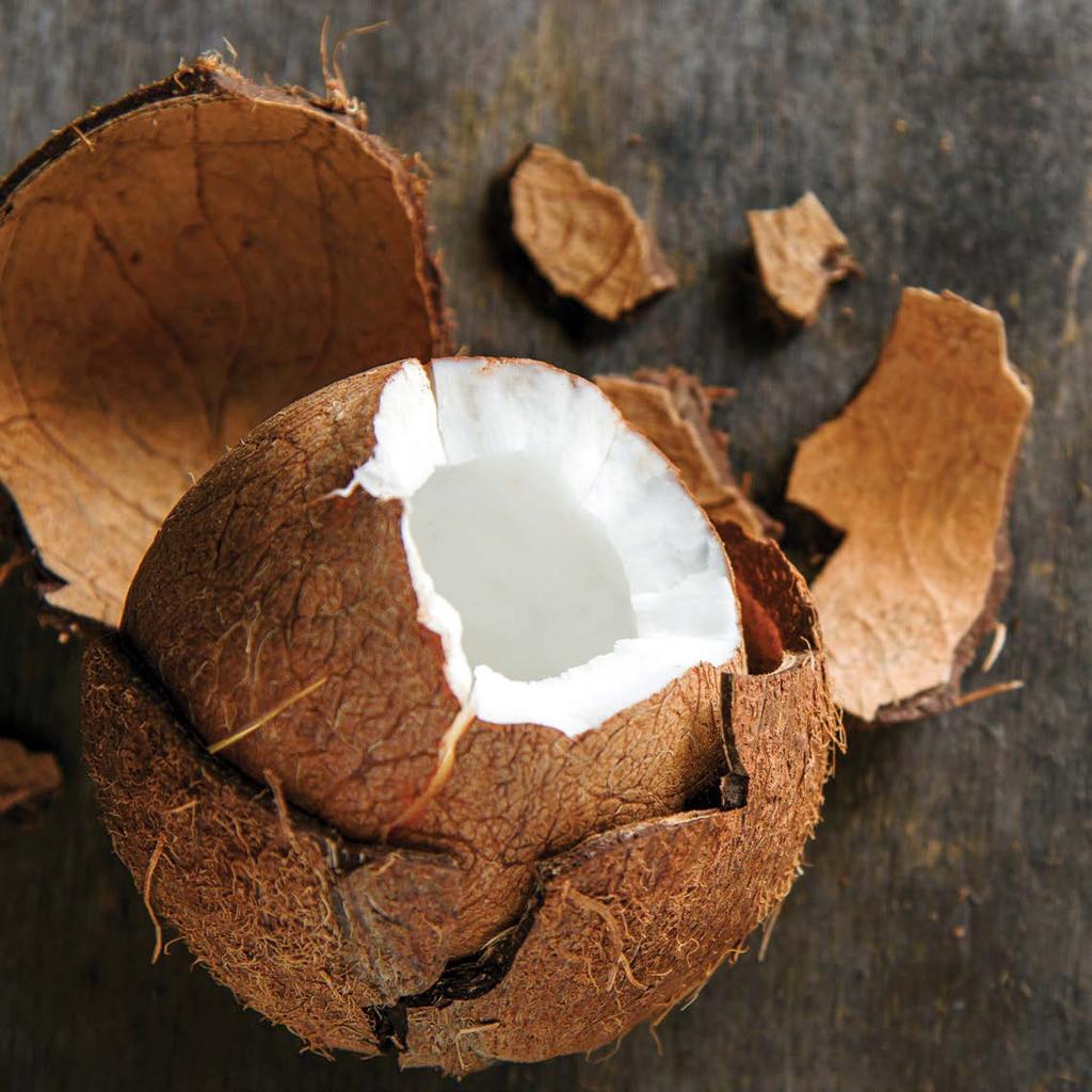 Kókuszolaj A kókuszdió rendkívül tápláló és gazdag vitaminokban (C, E, B1, B3, B5 és B6), valamint rost- és ásványi anyagokban (vas, szelén, nátrium, kalcium, magnézium és foszfor) egyaránt.