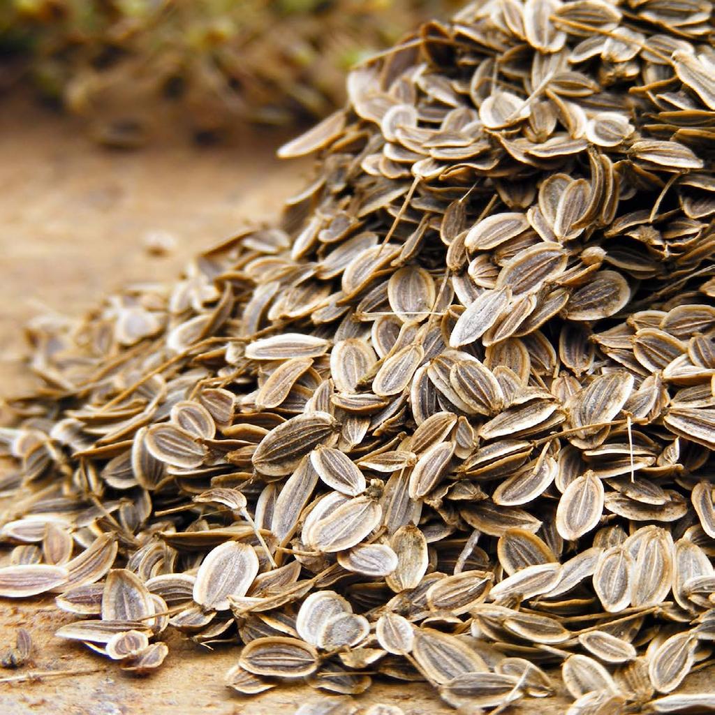 Kapormag Antioxidáns, jelentős antimikrobás hatása van.