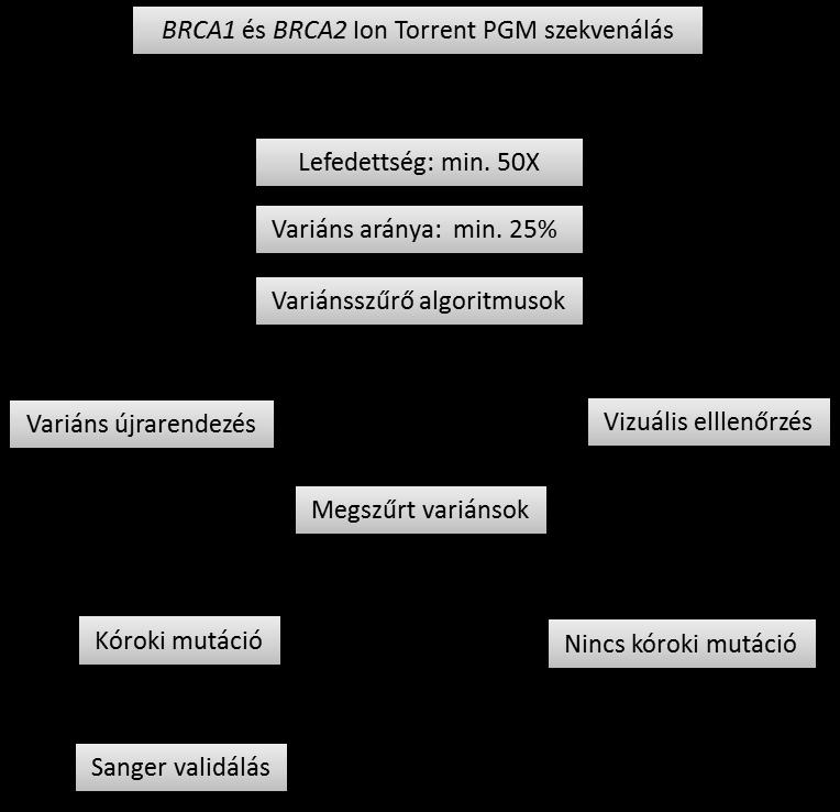 meghatározott algoritmus alapján hajtja végre a szükséges korrekciókat (Függelék, F1. Ábra). Működéséről a Függelék F1. Táblázatban több eset-példát is bemutatunk.