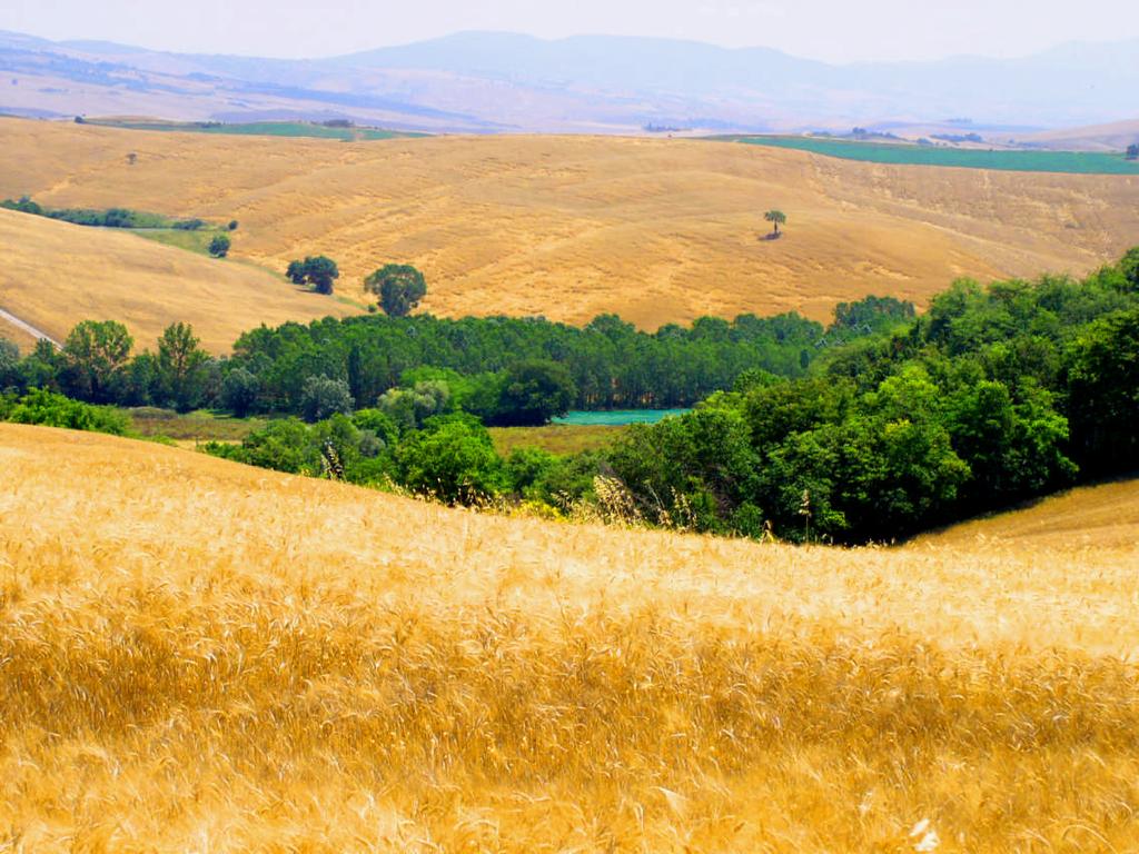 A középkor ezt a kettősséget egyértelművé teszi, mikor elkülöníti a natura naturans -t /teremtő természetet/ a natura naturata -tól /teremtett természettől/.
