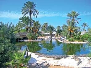 Marhaba Resort Marabout Mövenpick Riadh Palms Karawan Tej Marhaba Club Calimera Rosa