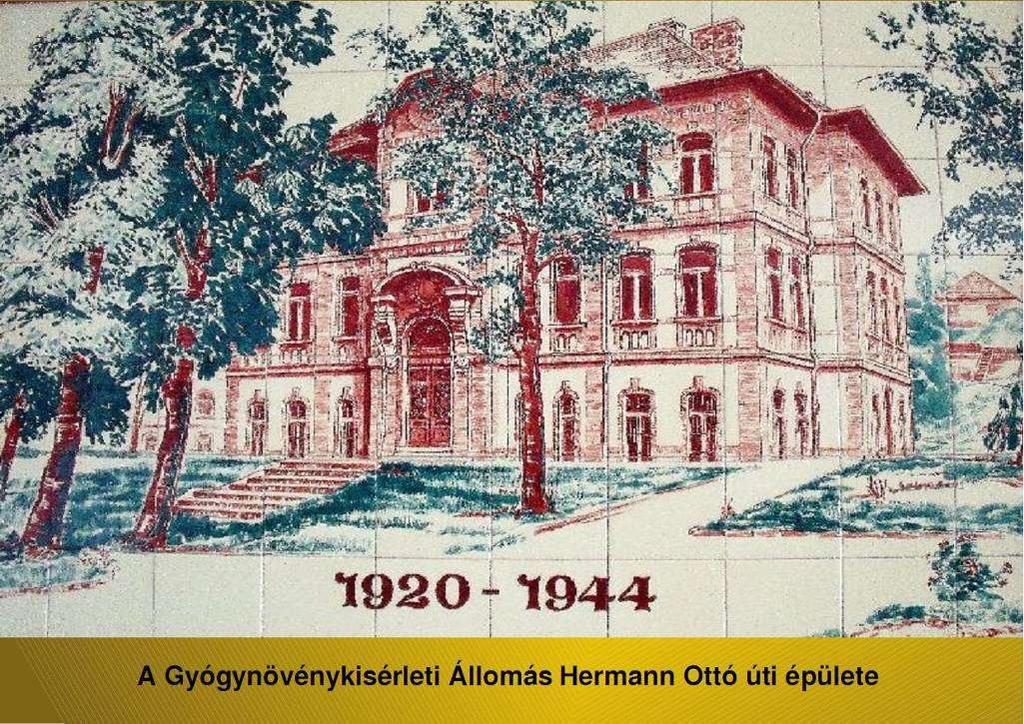 Augustin Béla irányításával kezdődött meg a magyar gyógynövényügy gyakorlati és tudományos megalapozása, a gyógynövényminősítési rendszer kialakítása, bevezetése és elismertetése, a hazai