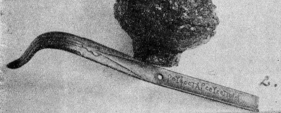 35. kép: Strigilis a vajtai kocsisírból (fotó: Fülep 1949) Külön figyelmet érdemel vajtai kocsisír töredékes strigilise.