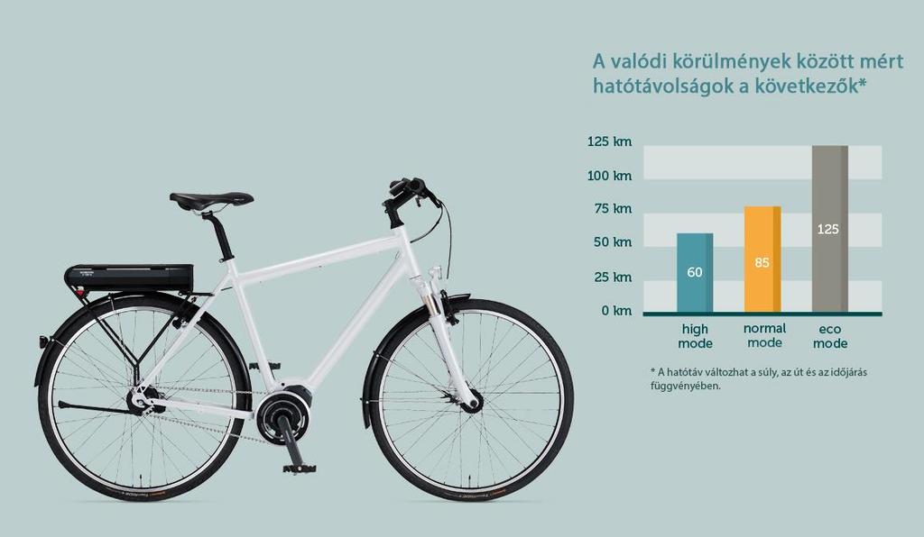 A V-Bringa flottakezelési számos szolgáltatási eleme közül ügyfeleink szabadon állíthatják össze az igényeiknek, anyagi lehetőségeiknek és kockázatvállalási készségüknek legjobban megfelelő