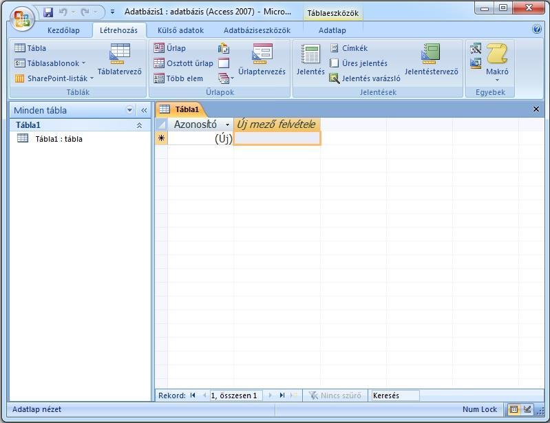 Az új dokumentumot létrehozását vagy a megnyitást követően, az Adatbázis ablakban megjelenik a munkafelület.(1. ábra). A felső részen egy ún.