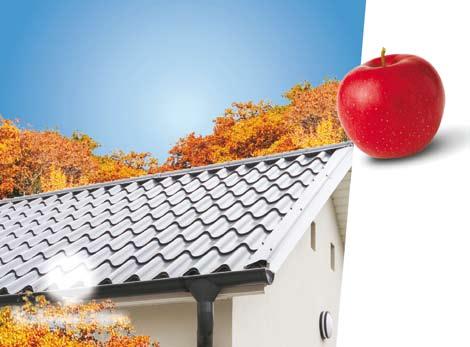 PÉKET vagy betanított péket felveszünk Érd: 0620-624-4171 47376 HOYA - OPERÁTOR ÁLLÁSLEHETŐSÉG!