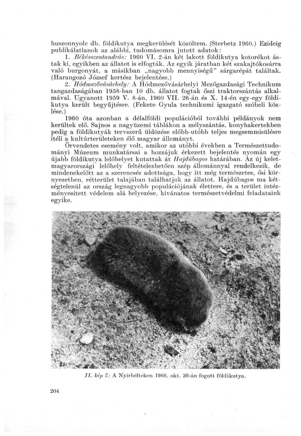 huszonnyolc db. földikutya megkerülését közöltem. (Sterbetz 1960.) Ezideig publikálatlanok az alábbi, tudomásomra jutott adatok: 1. Békésszentandrás: 1960 VI.