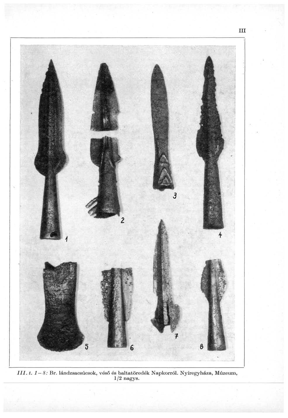 III. t. 1 8: Br.