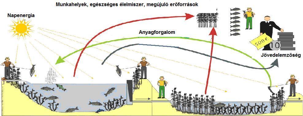 jutni, így olyan fejlesztéseket igyekeztünk megvalósítani, amelyek segítségével a gazdálkodók megfelelhetnek mind a jelenleginél szigorúbb kötelező előírásoknak, mind a különleges minősítési