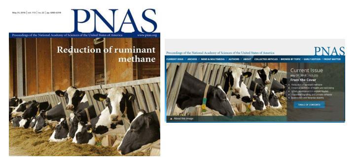 kezelni tudják a metán emisszióból adódó fenntarthatósági