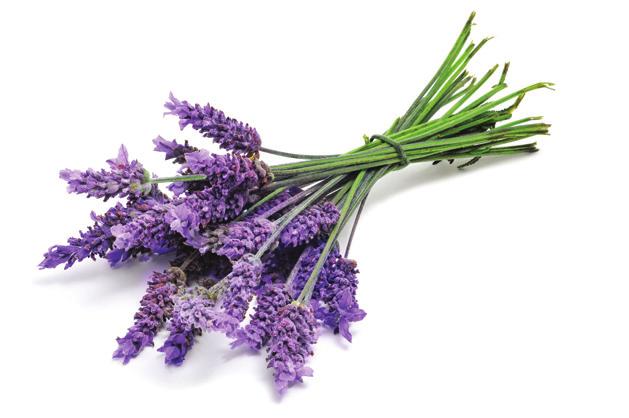 A dōterra wellness életstílus alkalmazása és a dōterra esszenciális olajok és wellness termékek használata segíteni fog Önnek abban, hogy egész életében fiatalosan érezze magát és hogy tovább éljen.