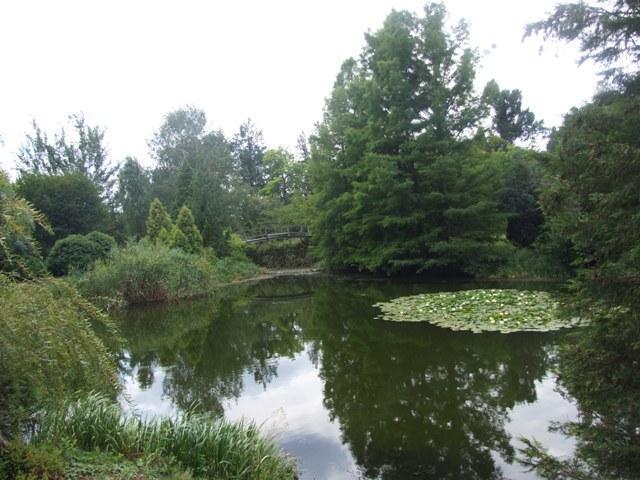 A községen számos természeti, vagy környezeti érték is található. Köztük talán az egyik legjelent sebb az Erd telki Arborétum.