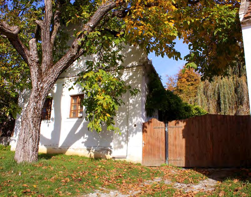 Lókút csak Zirc felöl közelíthető meg, de talán pont ez a védettség adta meg ennek a kis zsákfalúnak az esélyt, hogy elsősorban építészetileg egy gyönyörű, érintetlen