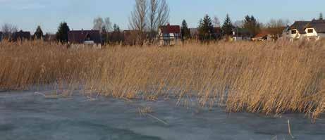 törekedjünk.