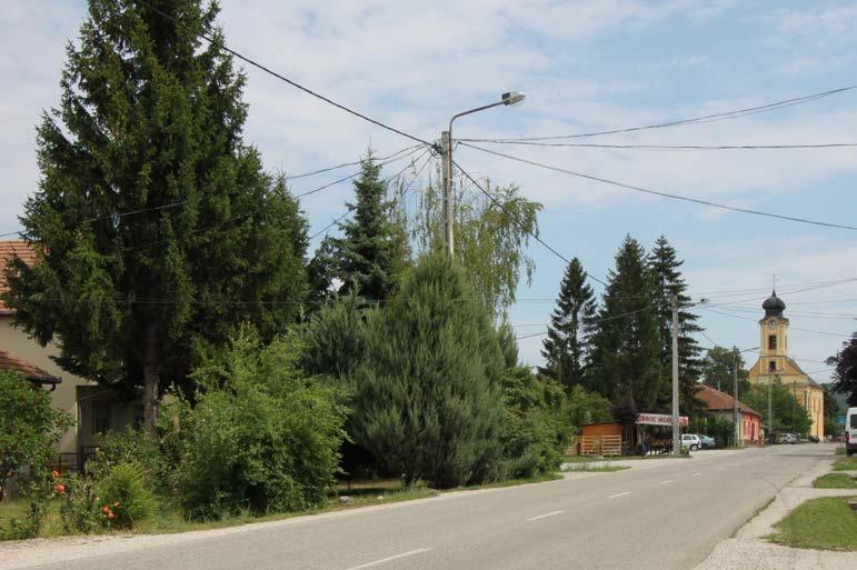 NÖVÉNYALKALMAZÁS Az utcai növénykiültetések közt és az előkertekben sok helyen megjelentek a tájidegen tuják és hamisciprusok, melyeket sorba, vagy sövényként ültettek a tulajdonosok.